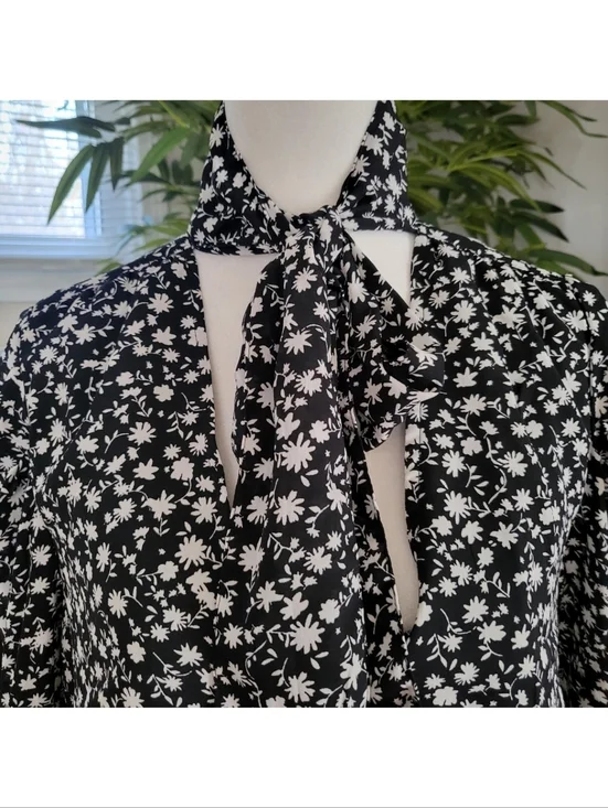 Scoop - Picture 3 of 7